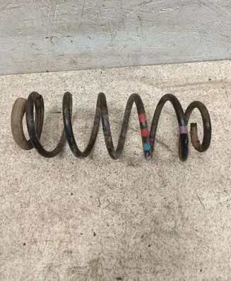 Rear coil spring