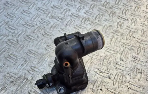 Thermostat/thermostat housing