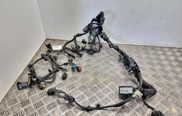 Ford S-MAX Engine installation wiring loom Du5t12c508