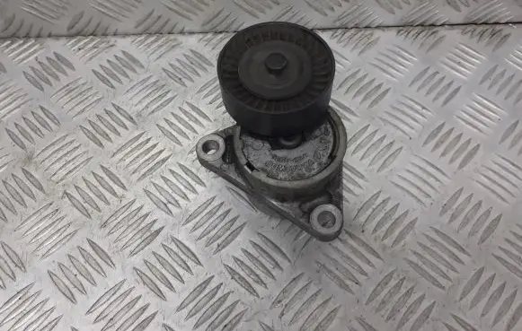Chevrolet Lacetti Alternator belt tensioner pulley 96349976
