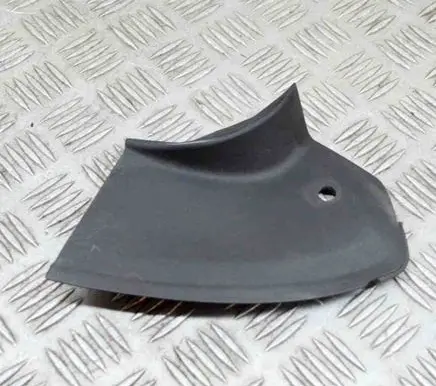 Rear/tail light trim molding