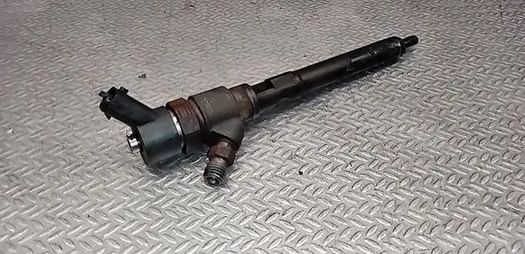 KIA Carens II Fuel injector 0445110258 3380027400