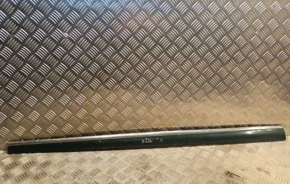 Mercedes-Benz S W220 Front door trim (molding) 2206900562