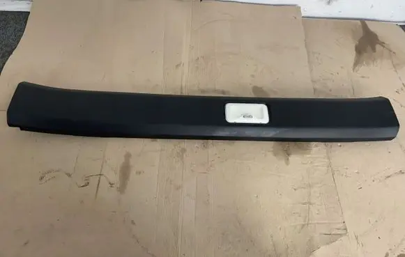 Renault Kangoo II Front door trim (molding) 
