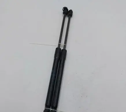 Tailgate strut