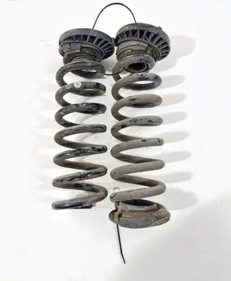 Rear coil spring