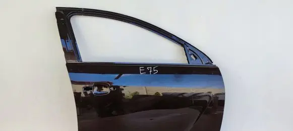 Opel Insignia A Front door