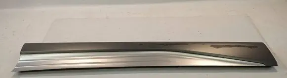 Hyundai Nexo Front door trim (molding) 87725M5000