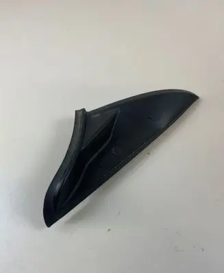 Rear/tail light trim molding