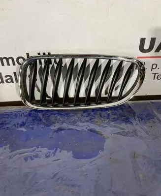 BMW Z4 E85 E86 Front bumper upper radiator grill 51137051959 51137018217