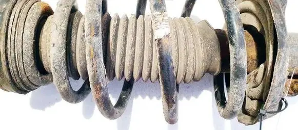 Opel Insignia A Front coil spring 
