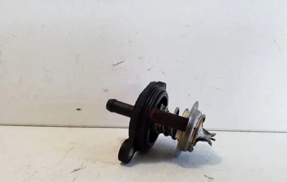 Ford Ecosport Thermostat 