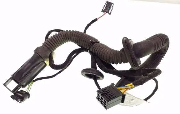 Rear door wiring loom