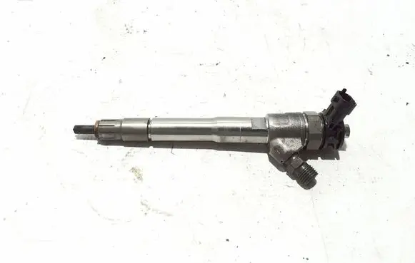 Renault Scenic IV - Grand scenic IV Fuel injector 0445110895
