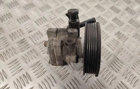 Hyundai Santa Fe Power steering pump