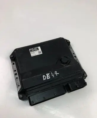 Engine control unit/module ECU