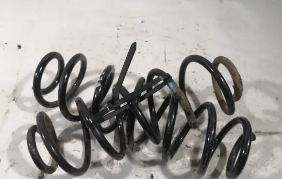 Volkswagen New Beetle Rear coil spring