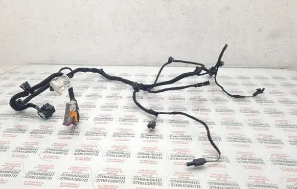 Front door wiring loom