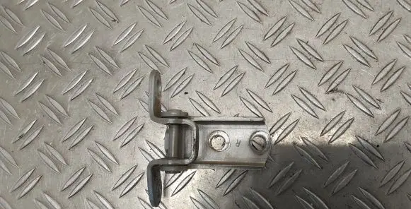 Rear door lower hinge