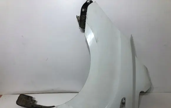 Hyundai H-1, Starex, Satellite Fender