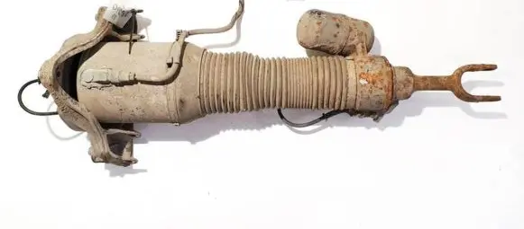 Volkswagen Phaeton Front shock absorber/damper 3d0616039lj