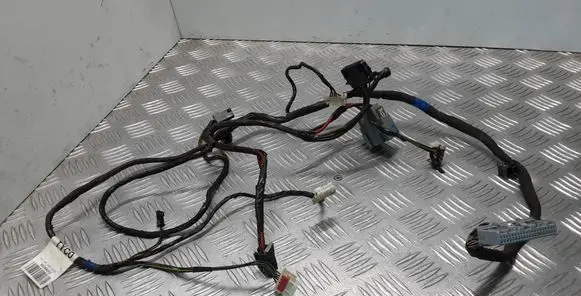 Renault Latitude (L70) Other wiring loom V8386003