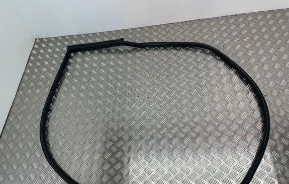BMW 1 E82 E88 Rubber seal front coupe door 