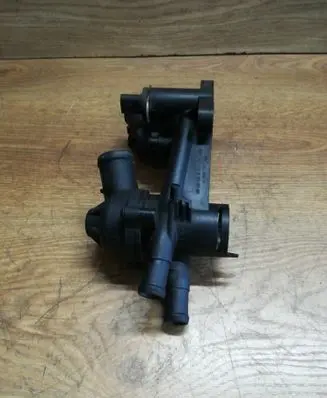 Thermostat/thermostat housing