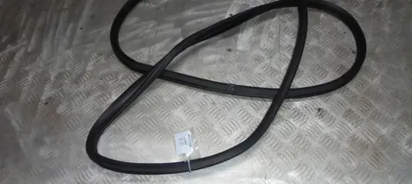 Hyundai Veloster Sliding door rubber seal 