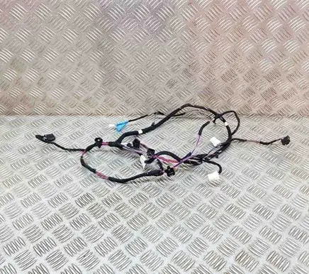 Tesla Model 3 Other wiring loom 812144970 CDX02087