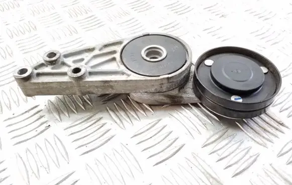 Volkswagen PASSAT B5.5 Alternator belt tensioner 