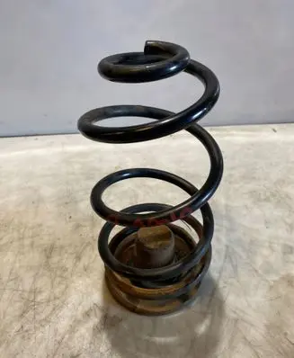 Rear coil spring