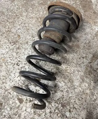 Rear coil spring