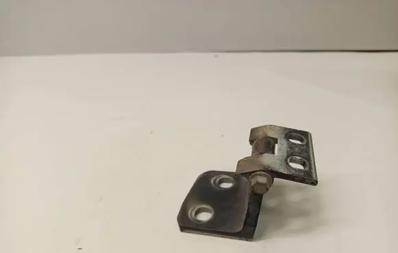 BMW X3 E83 Front door lower hinge 3402822