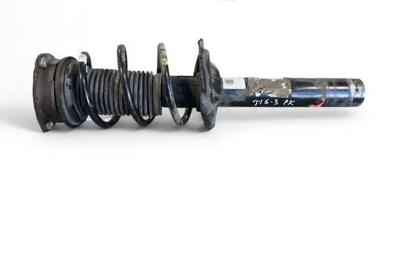 Volkswagen Tiguan Front shock absorber with coil spring 5QF412022BS