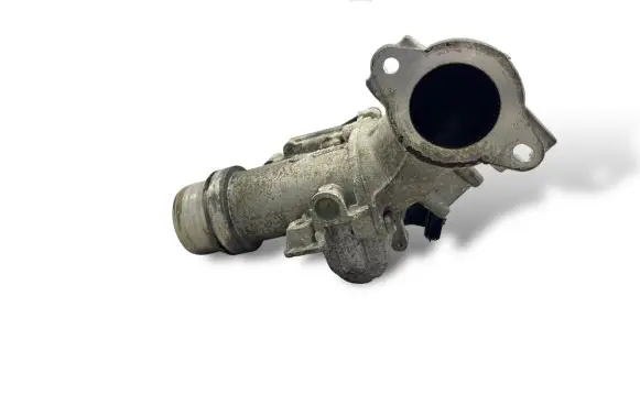 Nissan Juke I F15 Throttle valve 8200614985