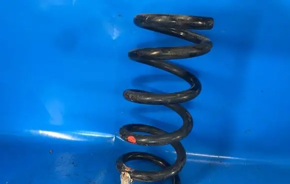 Ford Mustang VI Rear coil spring JR3Z5560F