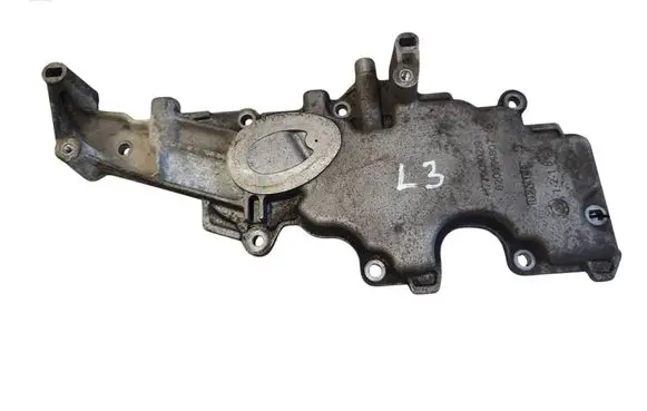 Dacia Duster other engine part 8200114807 H7700110219