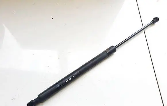 Tailgate/trunk strut/damper