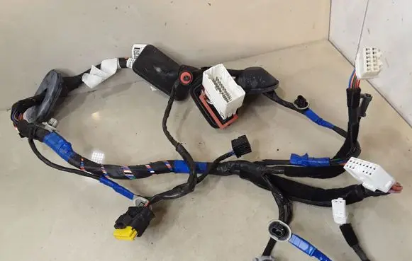 Hyundai Santa Fe Front door wiring loom 916002B110