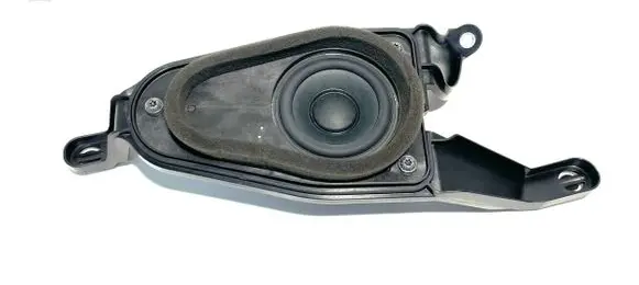 Rear door speaker