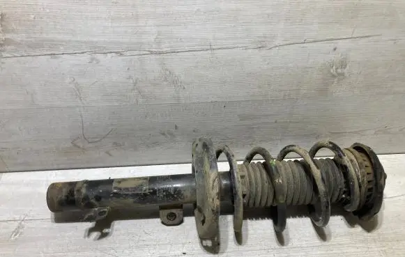 Citroen C3 Aircross Front shock absorber/damper 9827238980