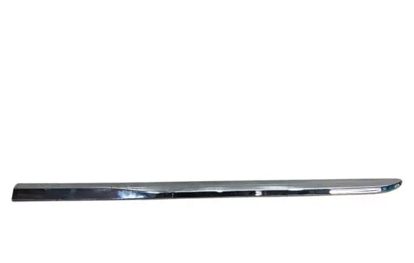 Rear door trim (molding)