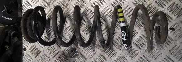Volkswagen Golf Plus Rear coil spring
