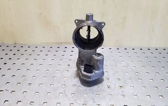 Volkswagen Touareg I Throttle valve 07Z128069A