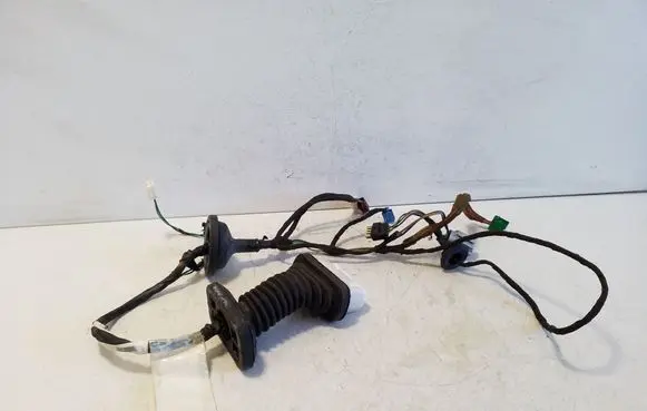 Front door wiring loom