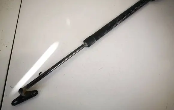 Tailgate/trunk strut/damper
