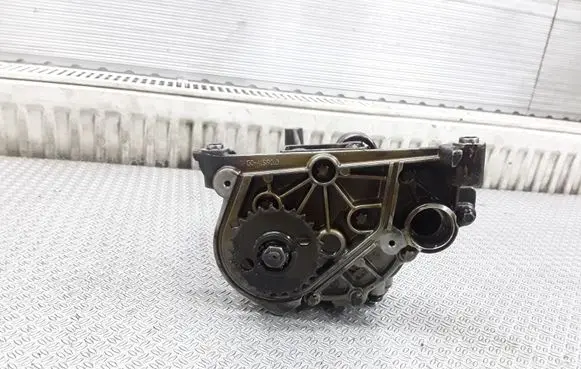Porsche Cayenne (9PA) Oil pump 948107010