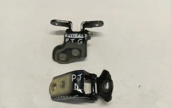 Renault Austral Rear door hinge set RENAUSZAWPT265189