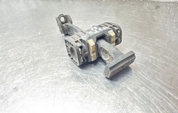 Opel Astra H Rear door check strap stopper 13107851
